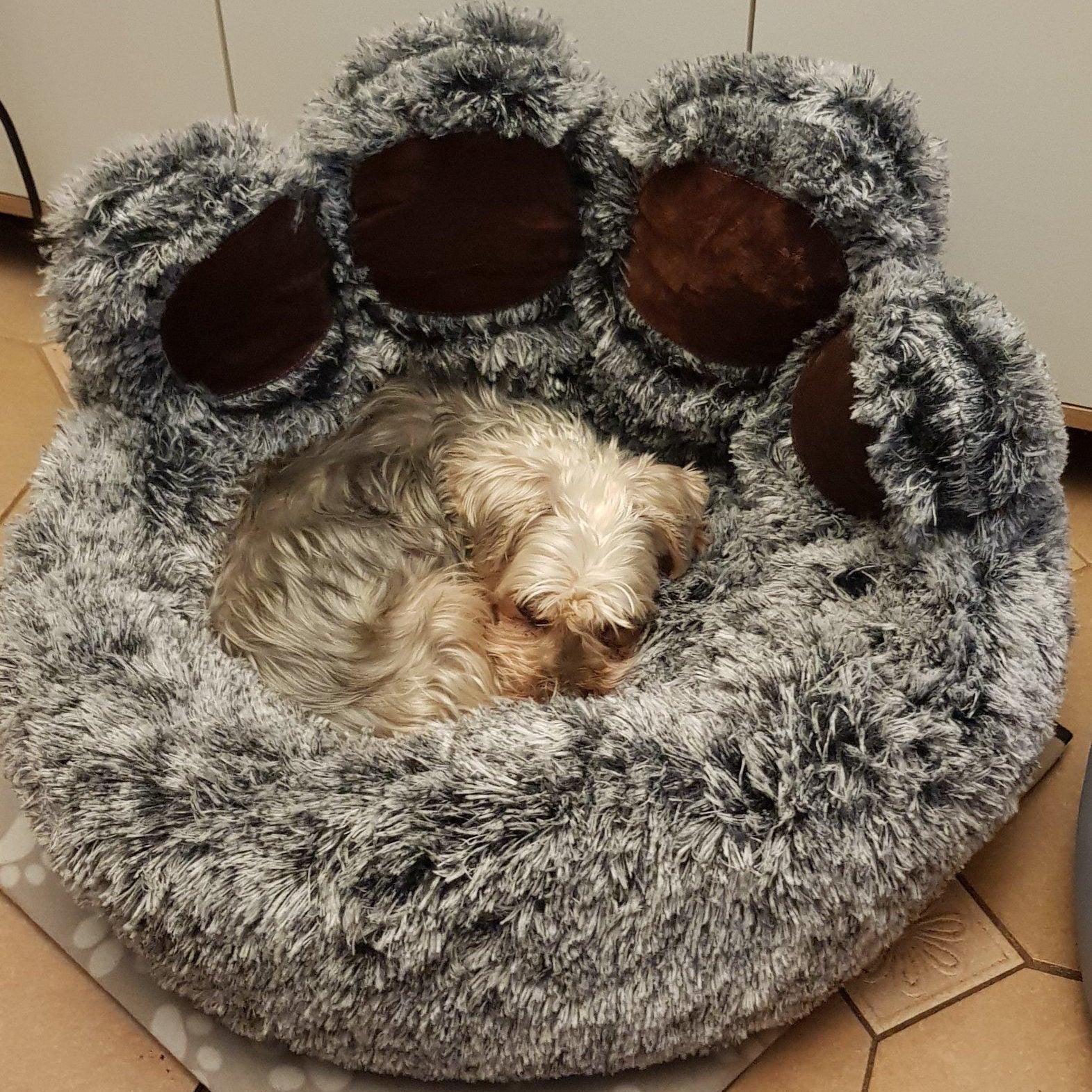 Cama Sofá Dona Antiestrés Para Mascota Perro Gato De Huella 70 cm de diámetro GRIS OSCURO